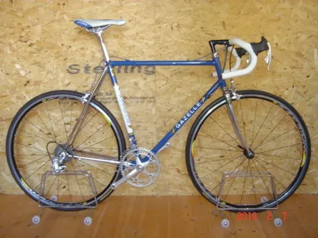 Gazelle champion mondial 008.webp