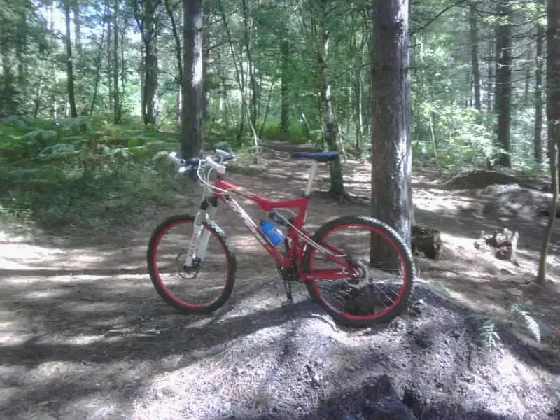 IMG00169-20100831-1319.webp