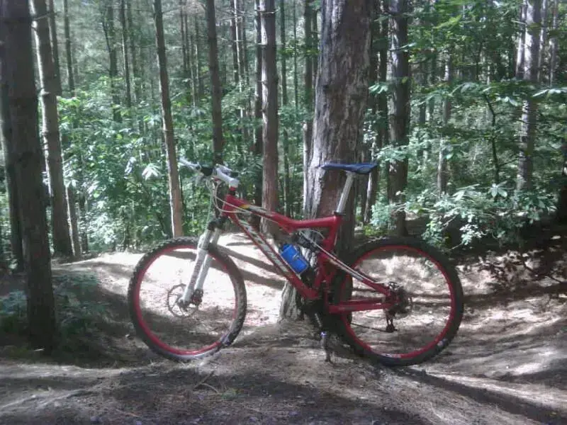 IMG00168-20100831-1317.webp