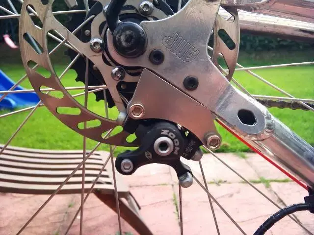 AMP ISO Rear.webp