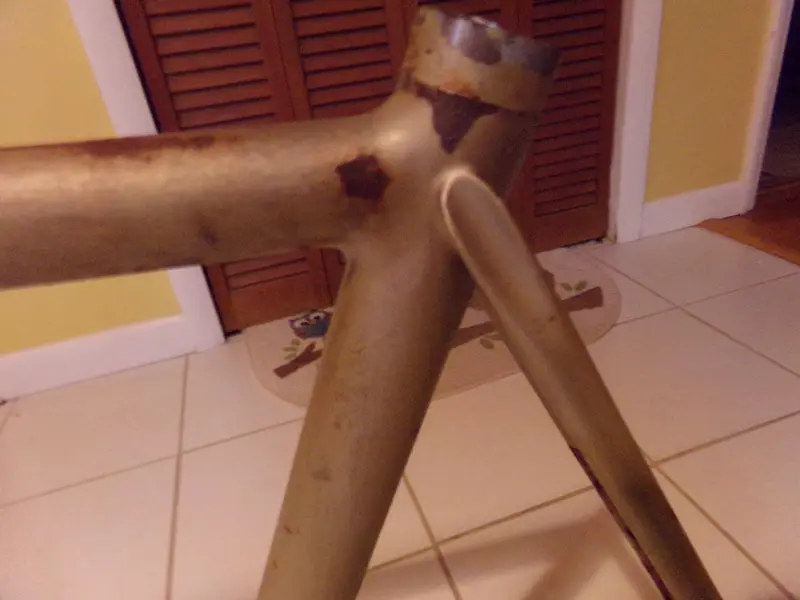 100_3831.webp