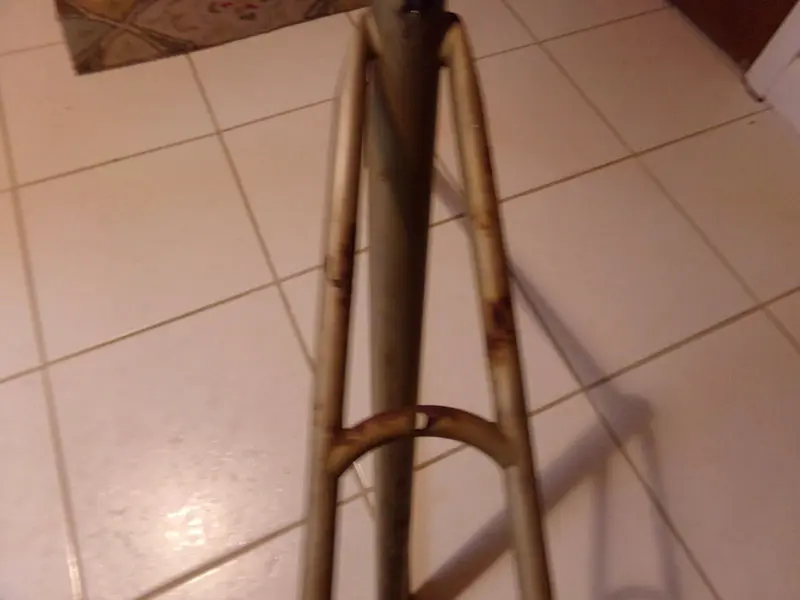 100_3833.webp