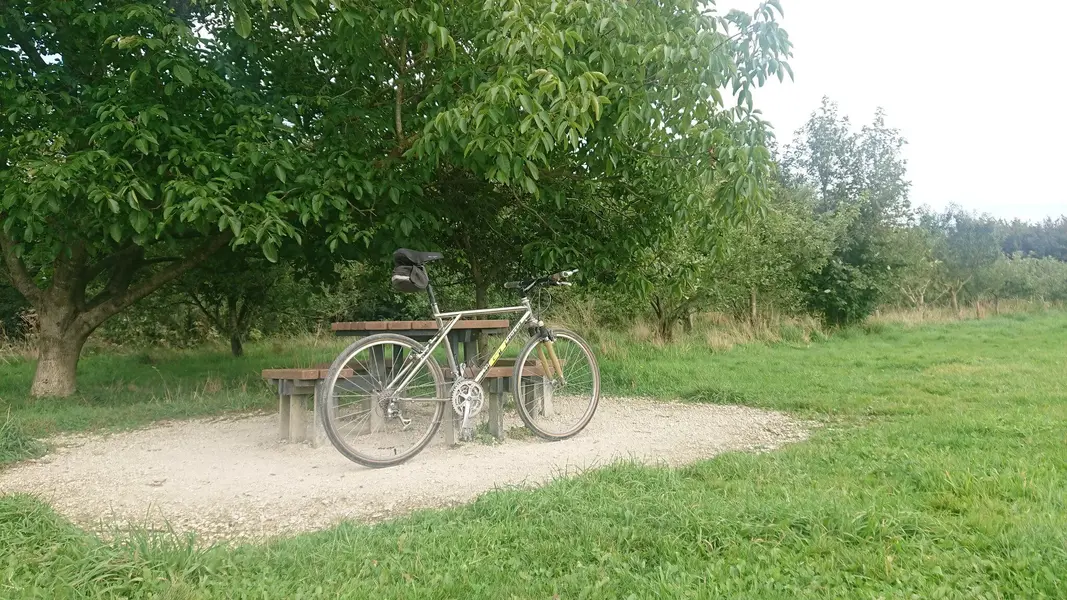 Millenium Orchard on first test ride (1).webp