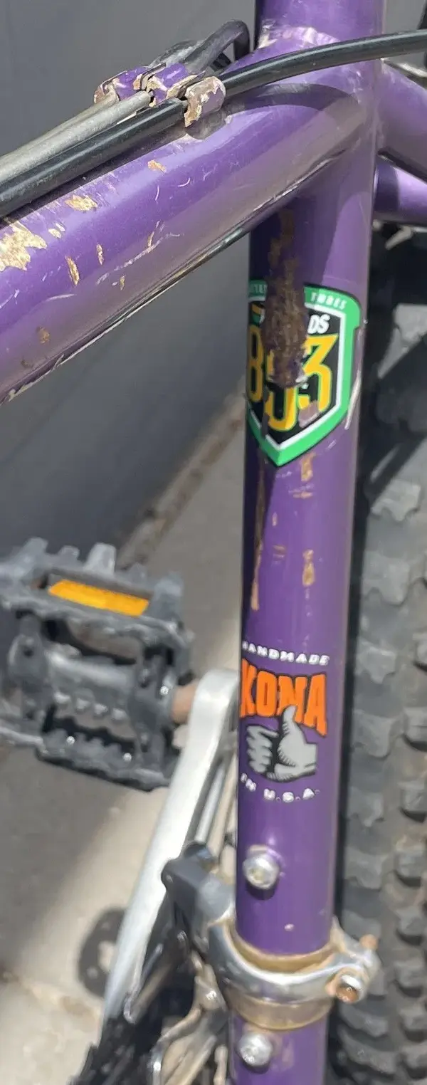1704181971087.jpeg