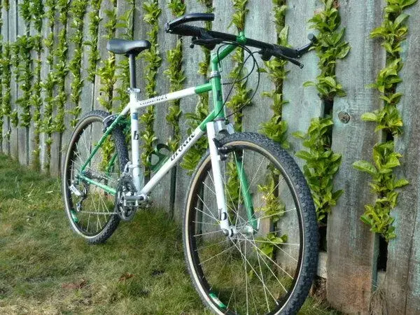 book cover bike1.webp