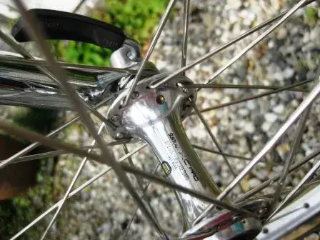 front hub.webp