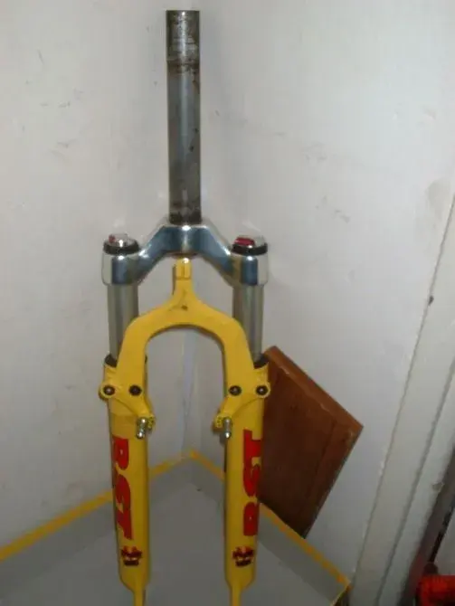 rst mozo.webp