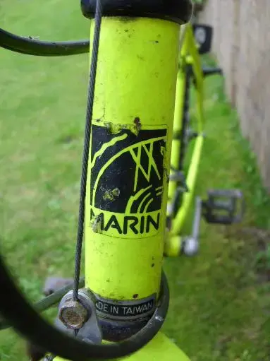 marinhead.webp