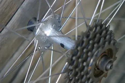 wheels2.webp