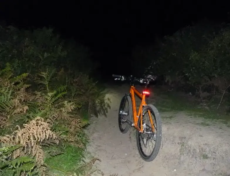 nightride resized.webp