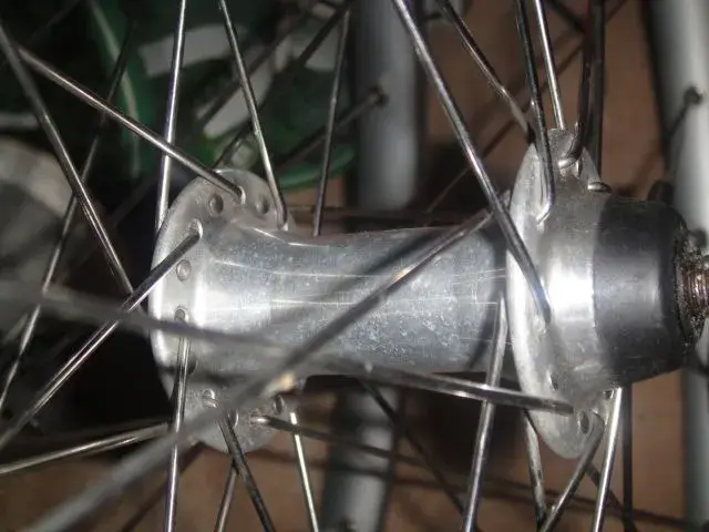 DSC00369.webp