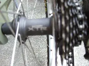 marin 007.webp