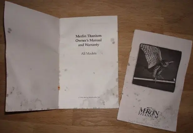 Merlin5.webp
