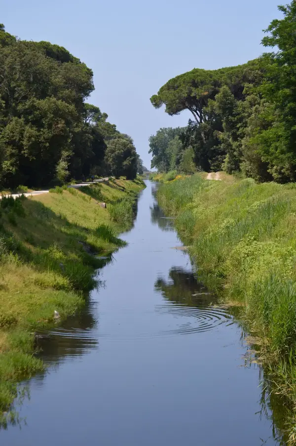 Canale.webp