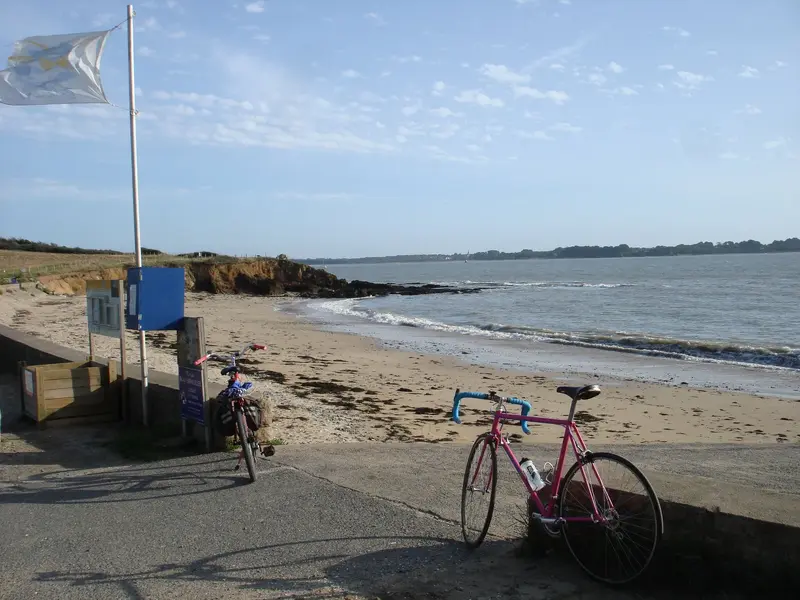 DSC00697.webp