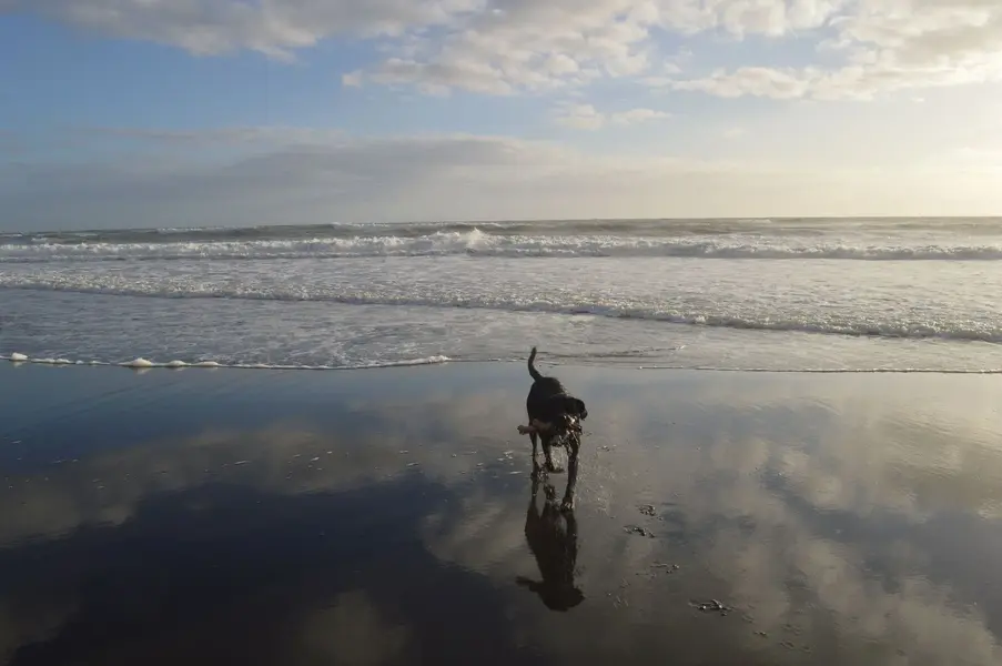 Angus mirror sand.webp