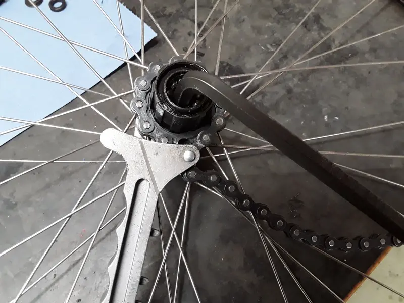 20230719_091251.jpg