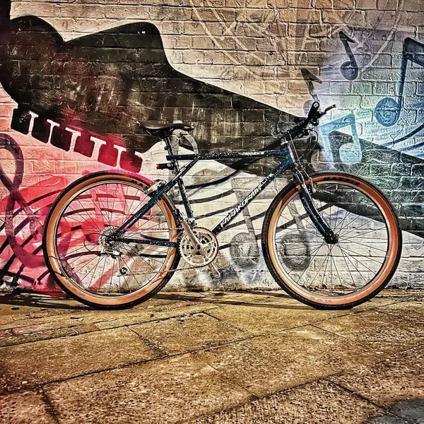 82351748-B3B4-4088-A79C-C94B557CA433 (1).webp