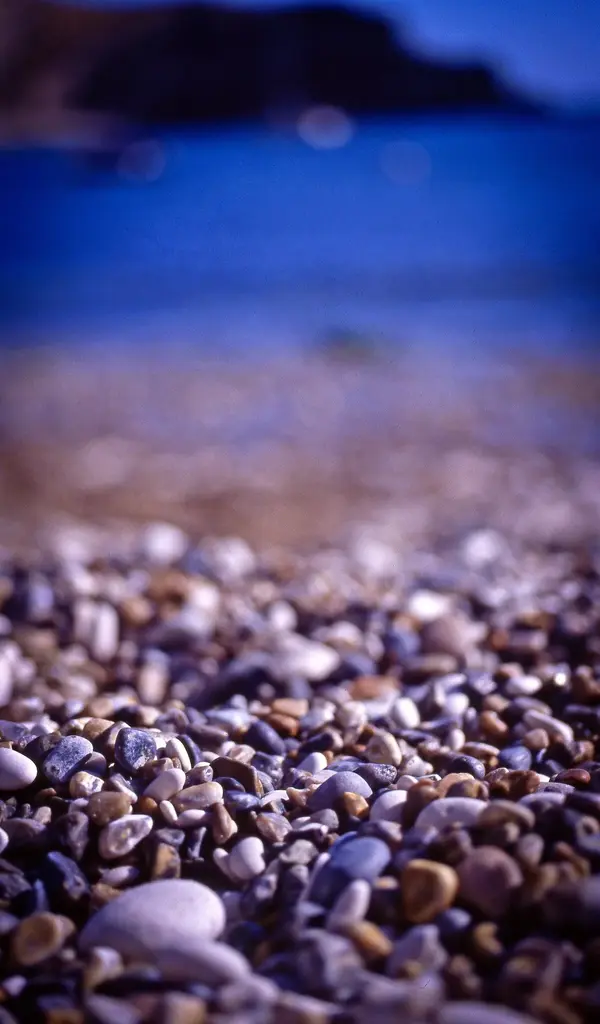 img019.webp