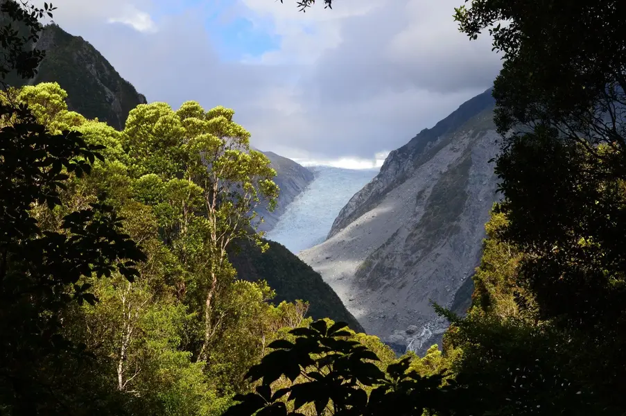 NZ Franz Josef Glacier.webp