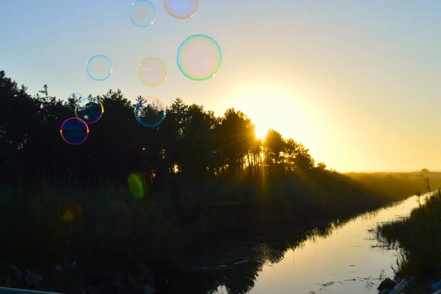 Steaming canale bubbles touched .webp