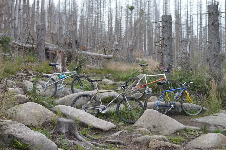 4 Bikes 2023.webp