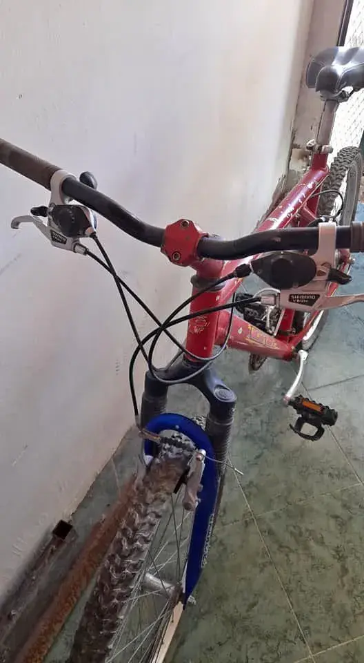 417246379_6744214679034398_6122162348103876426_n.webp