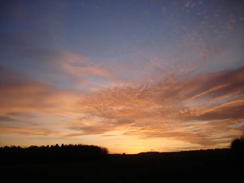 DSC00892.webp