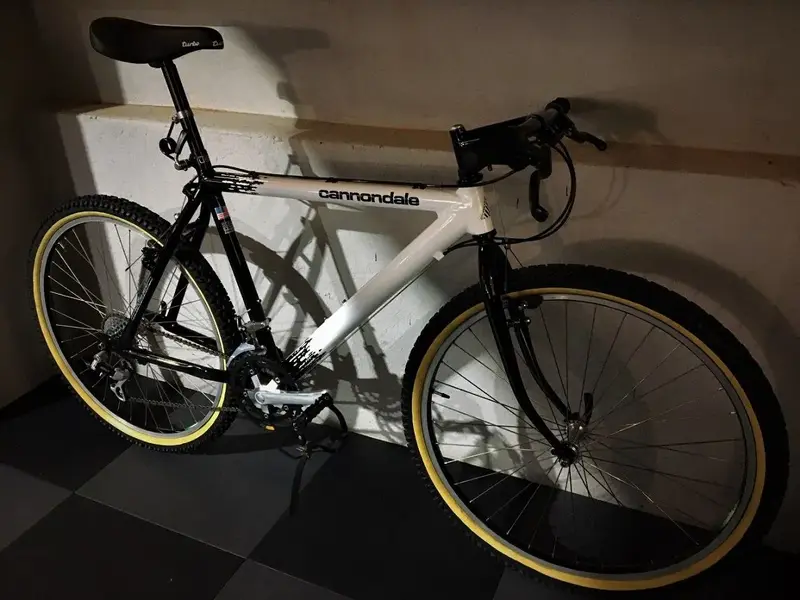CANNONDALE (1).webp