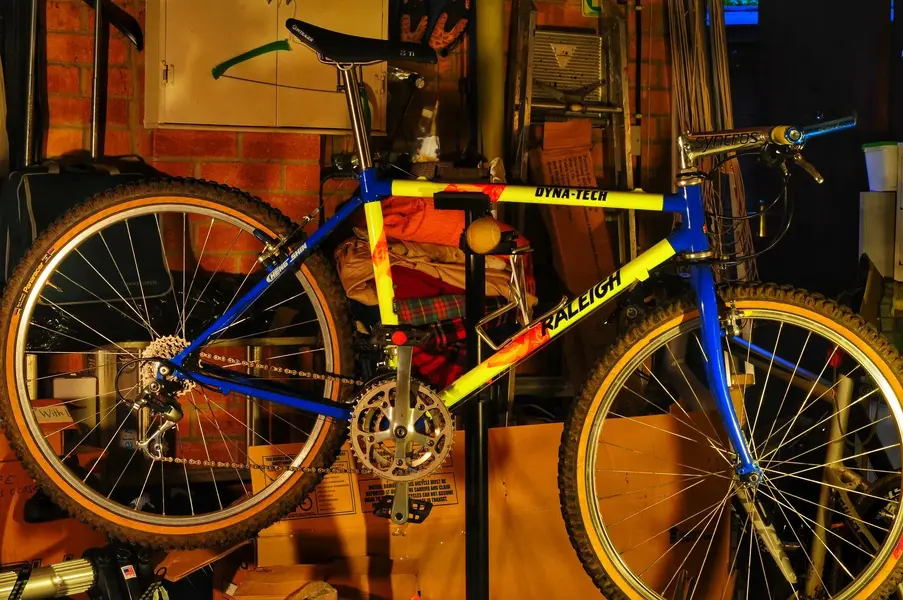 DSC_2305.webp