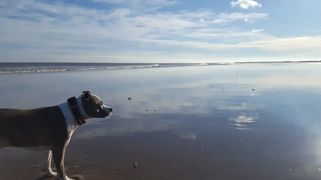 20240202_135306.webp