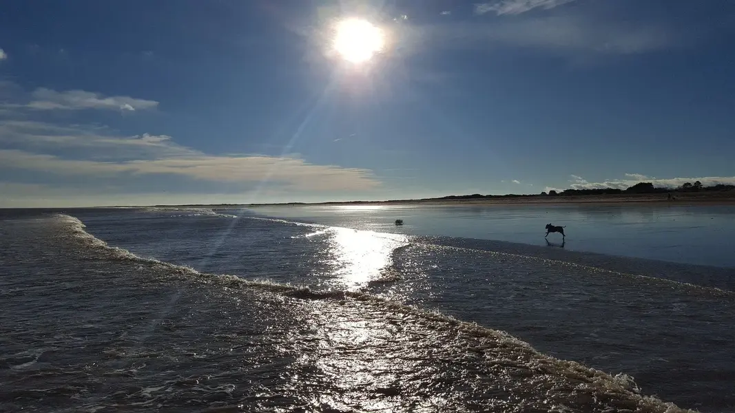 20240202_135609.webp