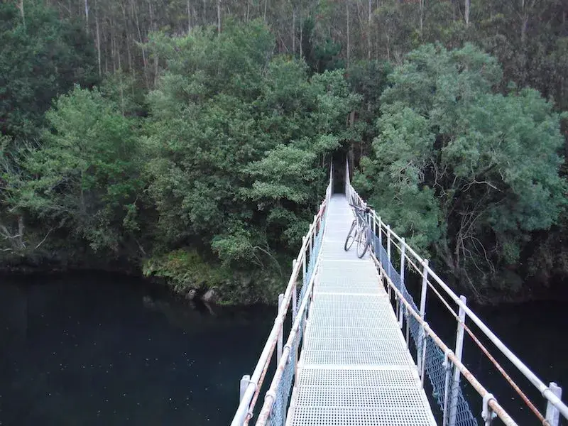DSCF0853.webp