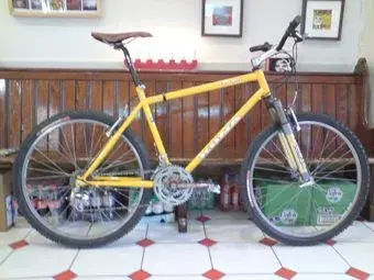 kona2.webp