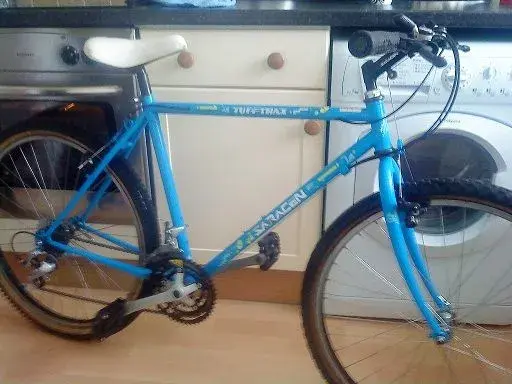 saracen.webp