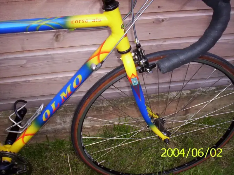 olmo 003.webp