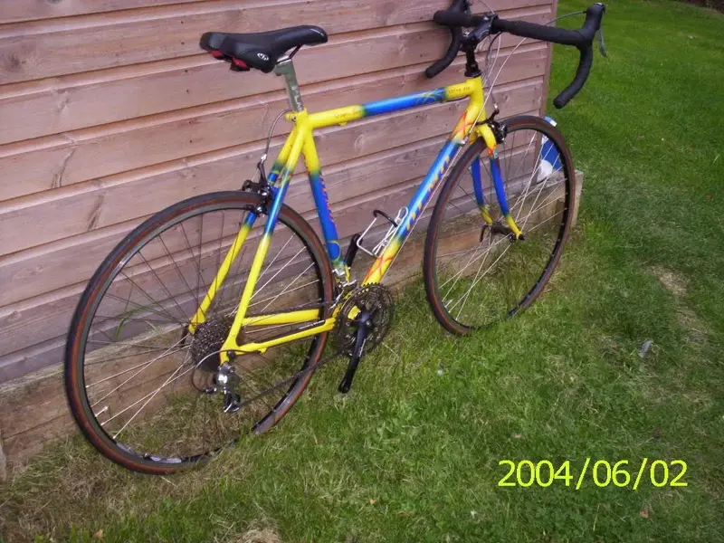 olmo 004.webp
