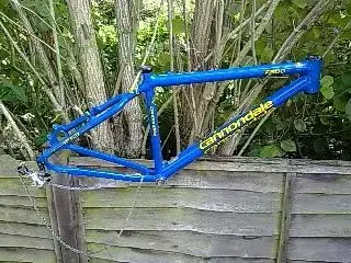 Frame.webp