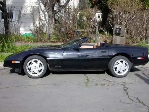 Vette-3.webp