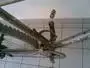 marin.webp