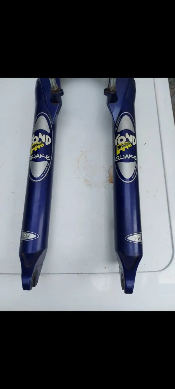 Screenshot_20240210_105733_Gallery.webp