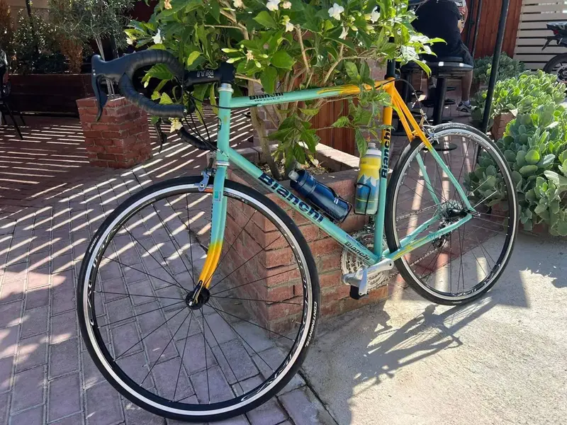 Bianchi.jpg