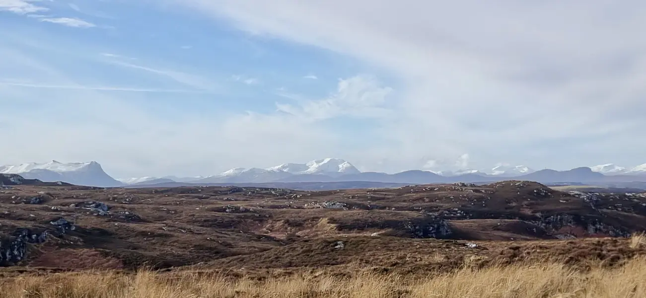 e50f0eec-2558-4ab6-996c-e219ee037e7d.jpeg