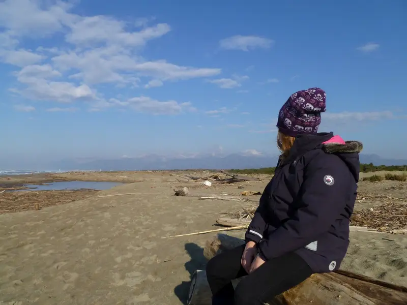 G beach mountains 1 . 1.webp