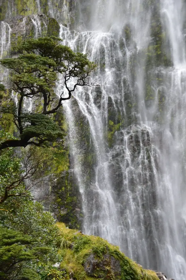 NZ Waterfall best.webp