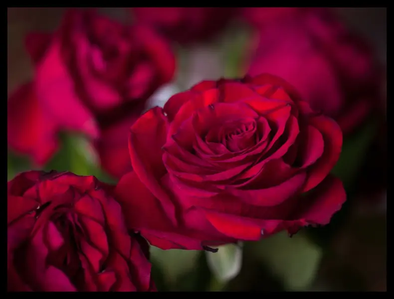 P1018954.webp