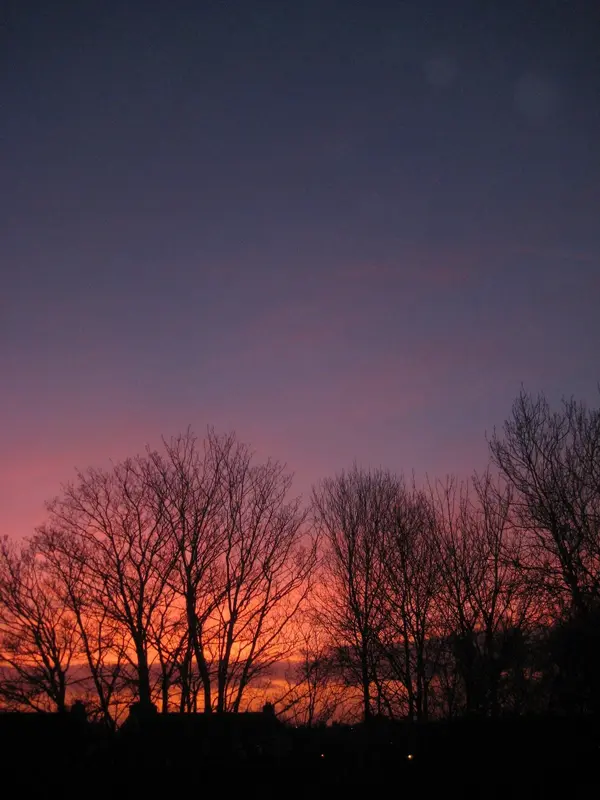York purple sunset.webp