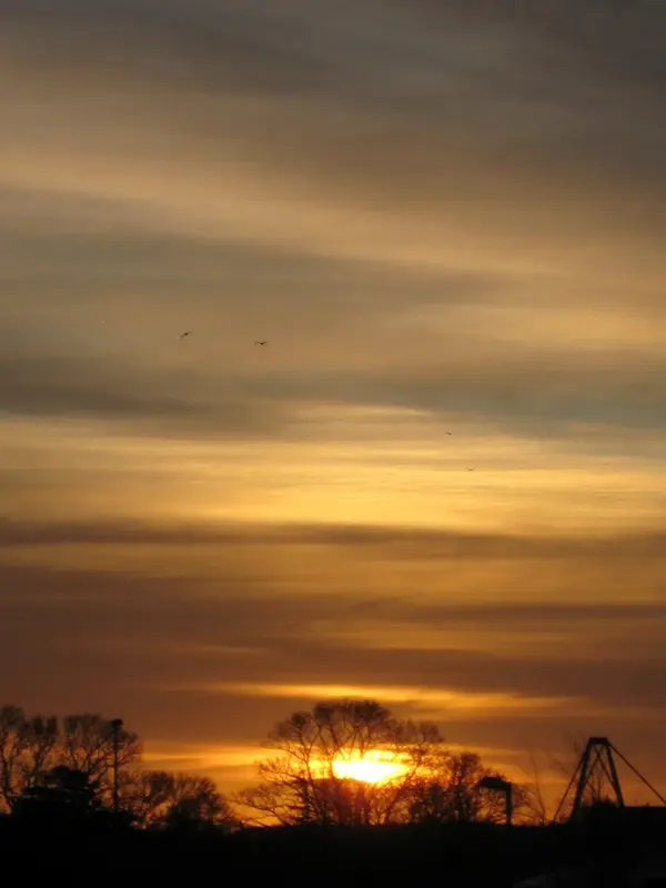 York Uni sunset last.webp