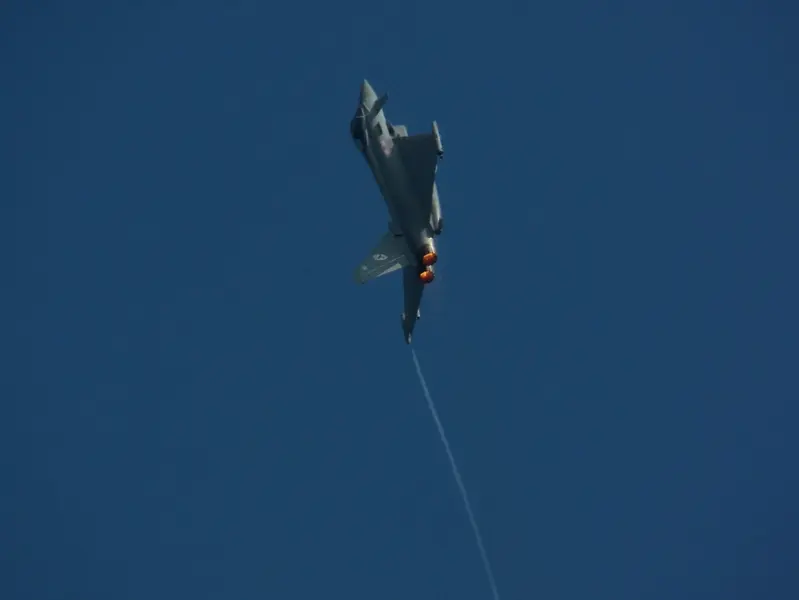 100_0106.webp