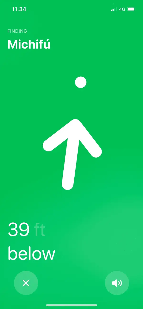 IMG_2021.png